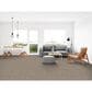 Dixie Home Simplicity Carpet in Yosemite, , large