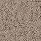 Shaw Run Free Carpet in Cameo, , large