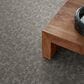 Anderson Tuftex Paw-Tay Carpet in Rockport, , large