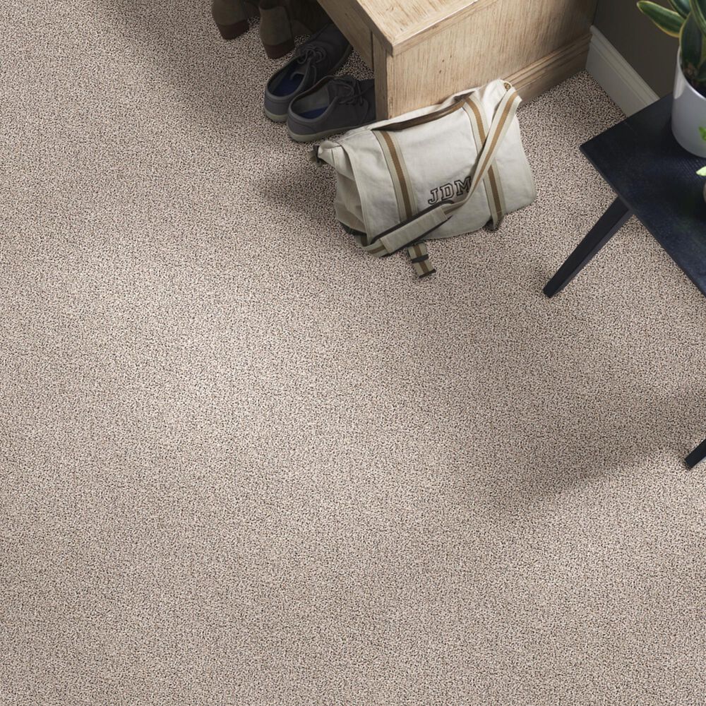 Shaw Foundations Take The Floor Accent II Carpet in Riverbed, , large