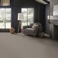 Anderson Tuftex Rhode Carpet in Fish Hook, , large