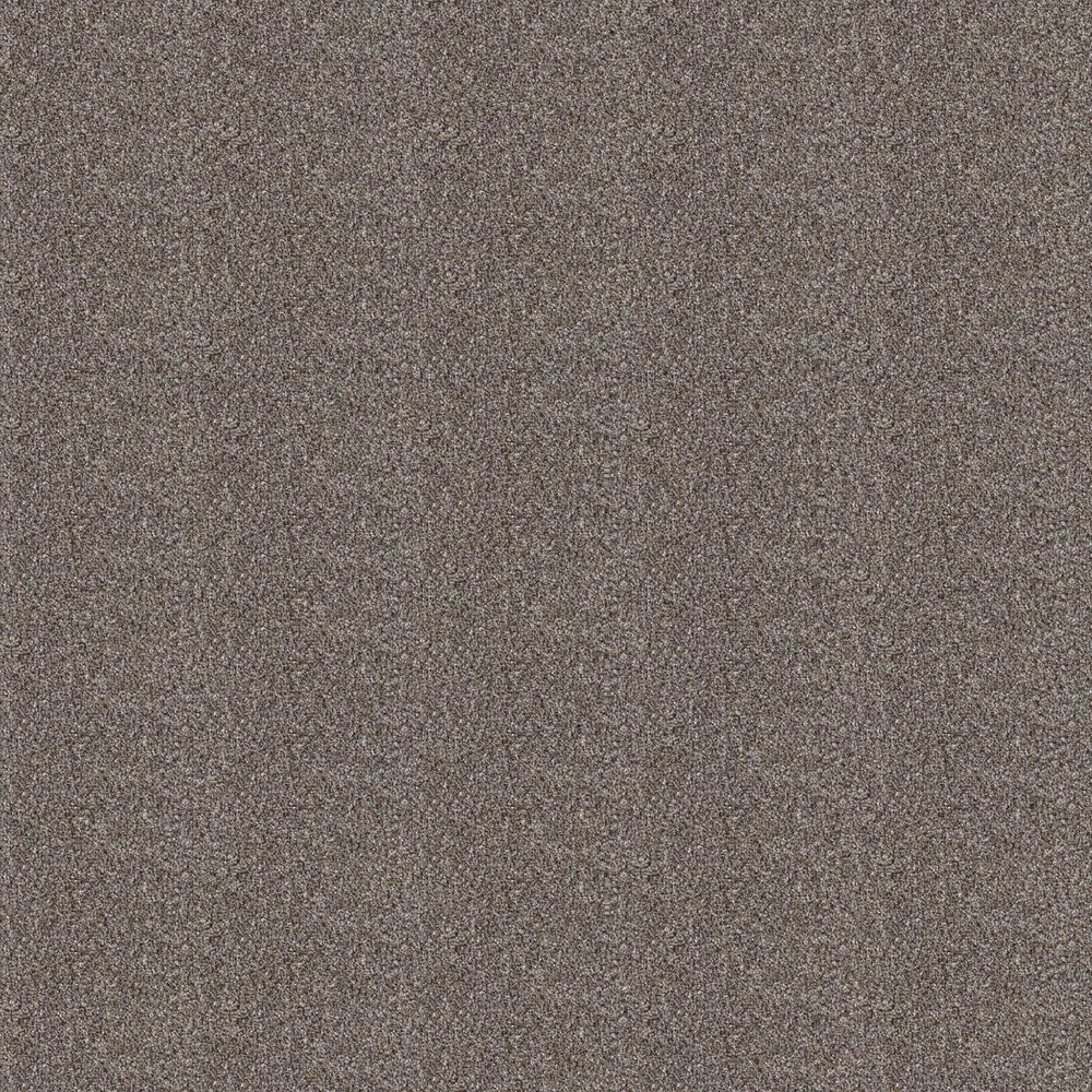 Shaw Higher Ground II Carpet in Coffee, , large