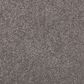 Mohawk Windsor Gardens I Carpet in Evening Shadow, , large