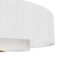 Hunter Brookside Jasmine Roth 30" Fandelier with LED Light in Luxe Gold, , large