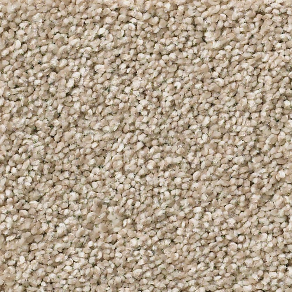 Shaw Simply the Best Momentum I Carpet in High Beam, , large