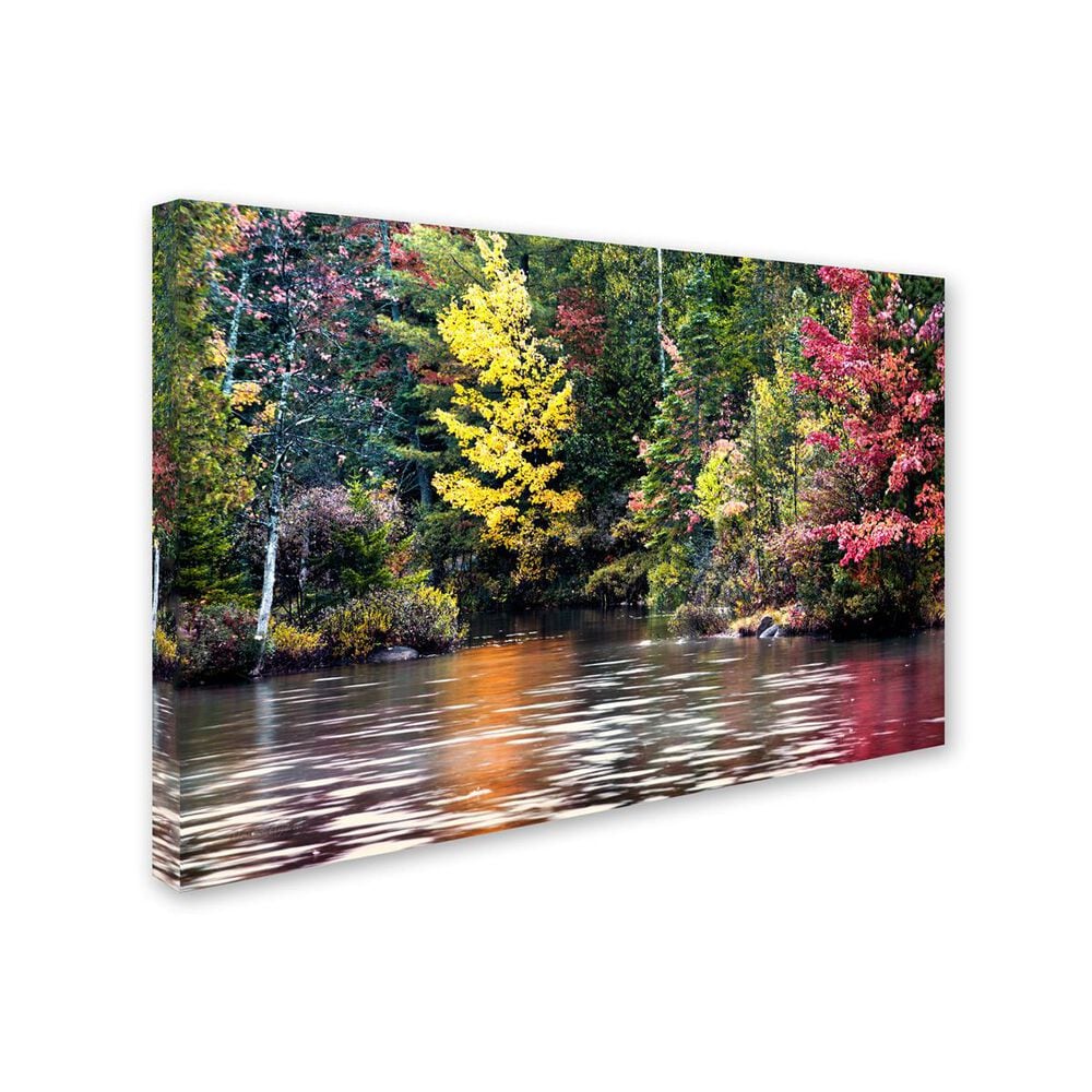 Timberlake David Ayash &#39;Adirondacks&#39; Canvas Art, , large