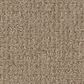 Shaw Sierra Vista Carpet in Leather, , large