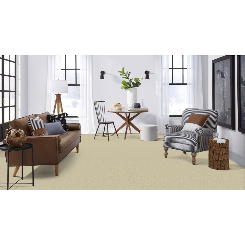 Masland Mesa Verde Carpet in Lancaster, , large