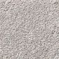Shaw Simply the Best Momentum I Carpet in Subtle Touch, , large