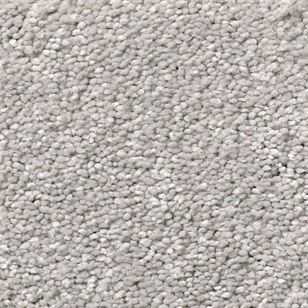 Shaw Simply the Best Momentum I Carpet in Subtle Touch, , large