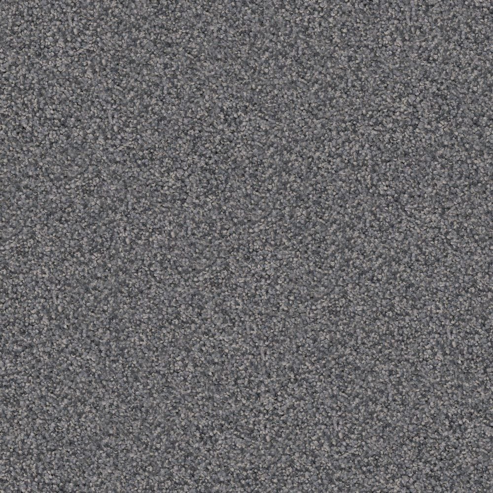 Dixie Home Herder Carpet in Staffordshire, , large
