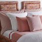 Ann Gish Fresco 20" x 20" Throw Pillow in Blush, , large