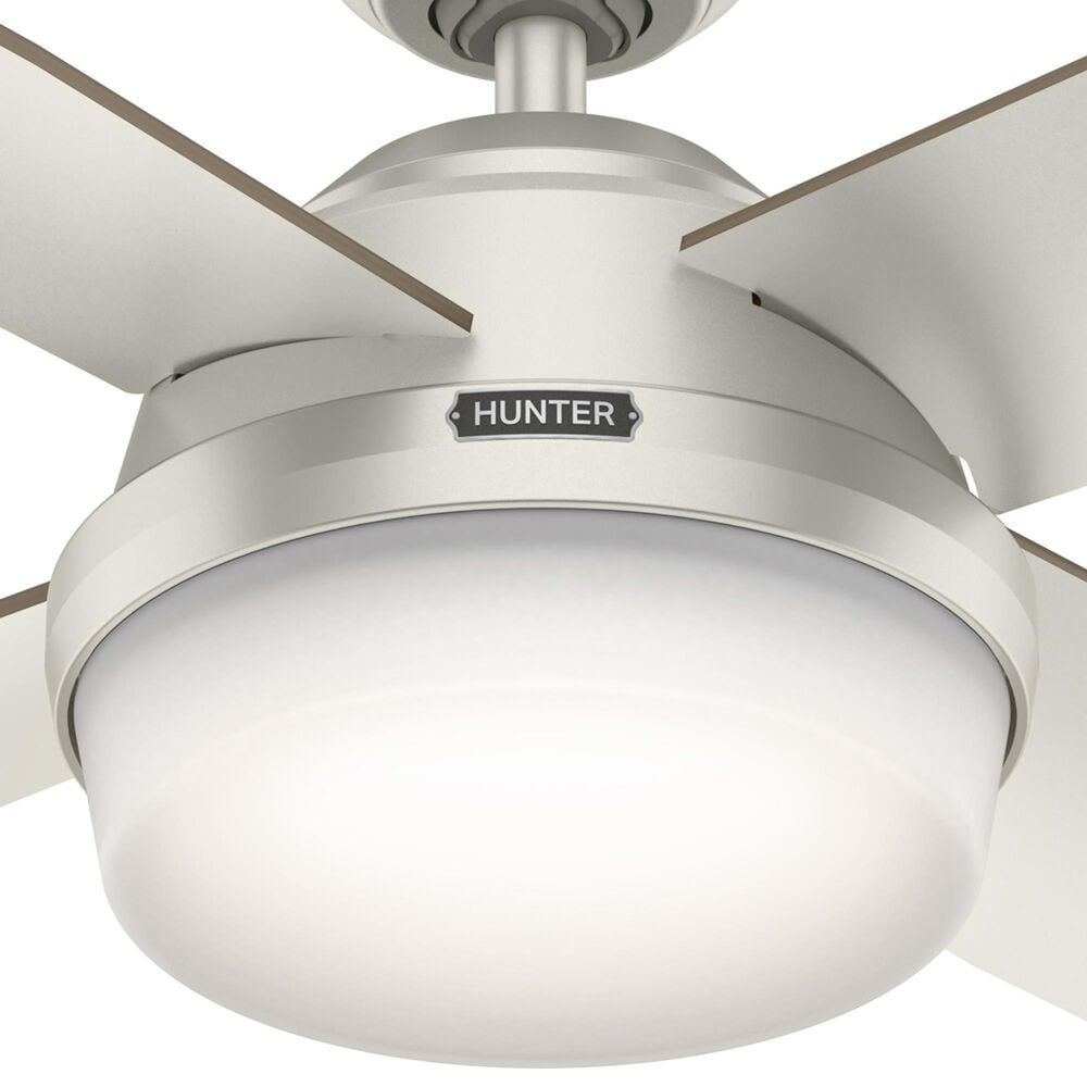 Hunter Dempsey 52&quot; Outdoor Ceiling Fan with Lights in Matte Nickel, , large
