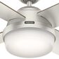 Hunter Dempsey 52" Outdoor Ceiling Fan with Lights in Matte Nickel, , large