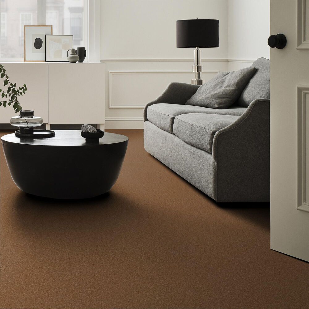 Anderson Tuftex Enchanting Carpet in Autumn Glaze, , large