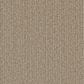 Phenix Cabana Carpet in Coral, , large