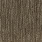 Mohawk Beautiful Spirit Carpet in Pine Cone, , large