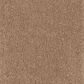 Mohawk Windsor Gardens II Carpet in Glazed Ginger, , large