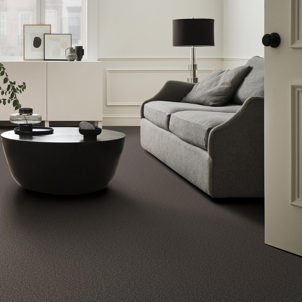 Shaw Tonal Comfort Ii Carpet in Weekend Getaway, , large