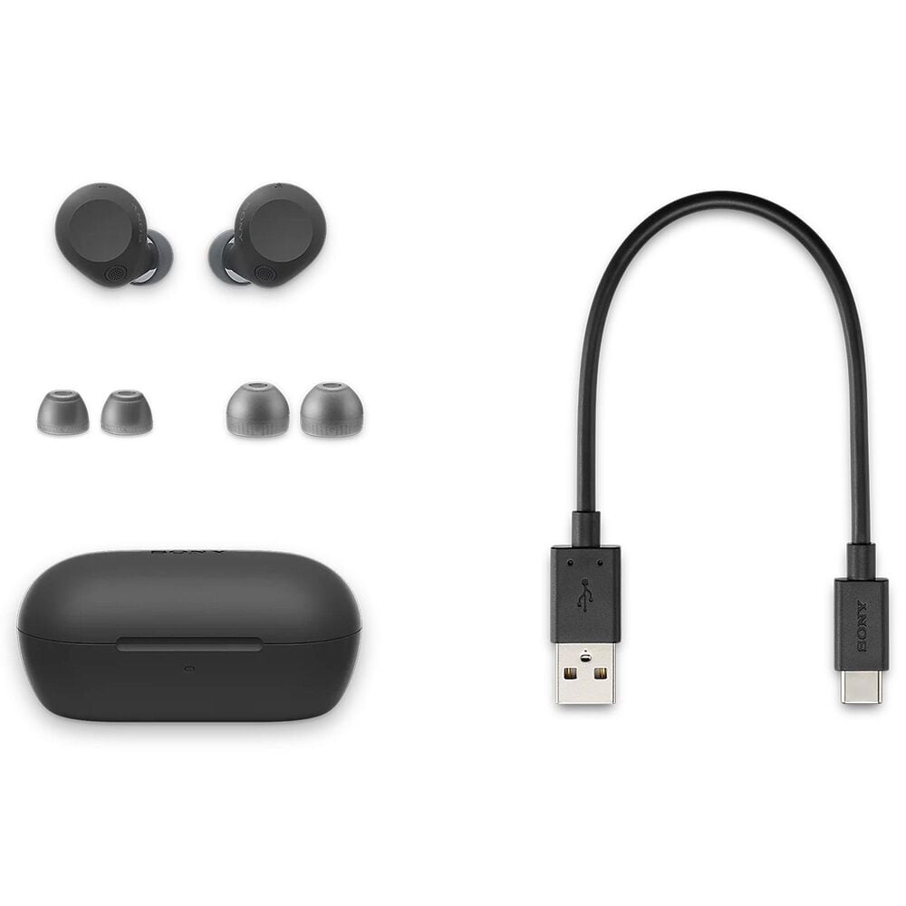 Sony True Wireless Noise Canceling Ear Buds in Black, , large