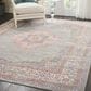 Nourison Passion PSN03 3"9" x 5"9" Grey Area Rug, , large