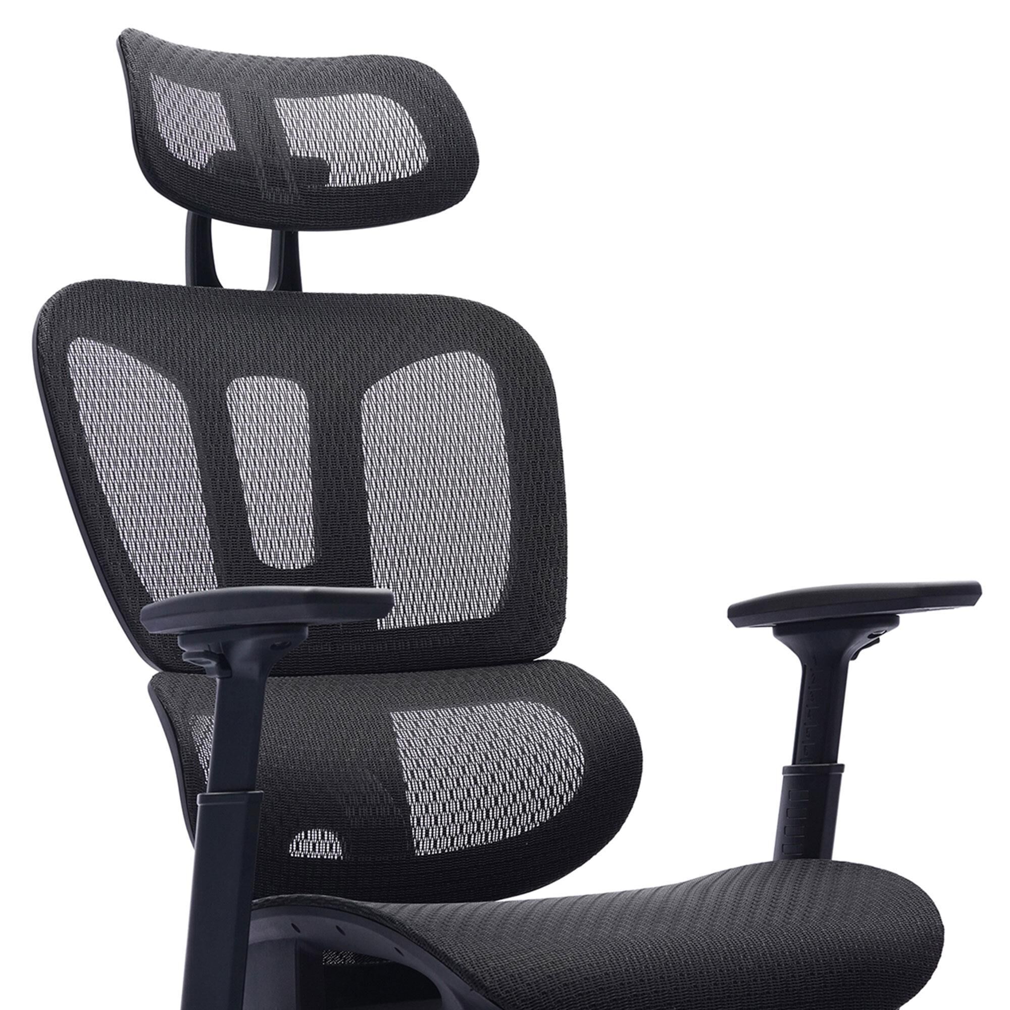 Primo International Sealy Huxley Ergonomic Chair in Black