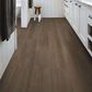Shaw Infinite SPC Raconteur 7" x 48" Luxury Vinyl Plank, , large