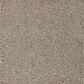 Mohawk Pleasant Touch Carpet in Faint Maple, , large