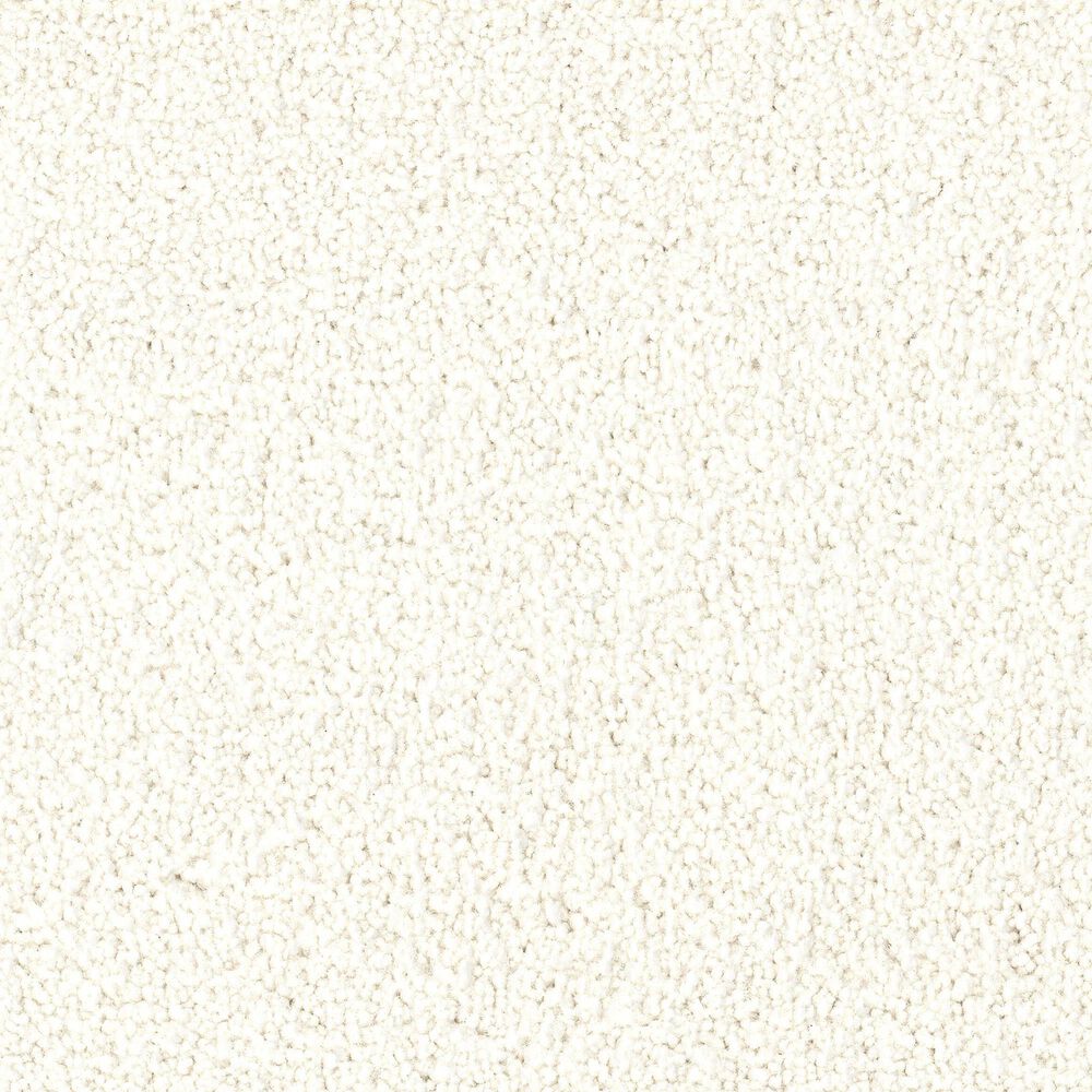 Dixie Home Gentle Wind Carpet in Beach, , large