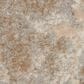 Nourison Joli 5"3" x 7"3" Ivory and Beige Area Rug, , large
