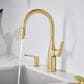 Blanco Rivana Pull-Down Kitchen Faucet 1.5 GPM in Satin Gold, , large