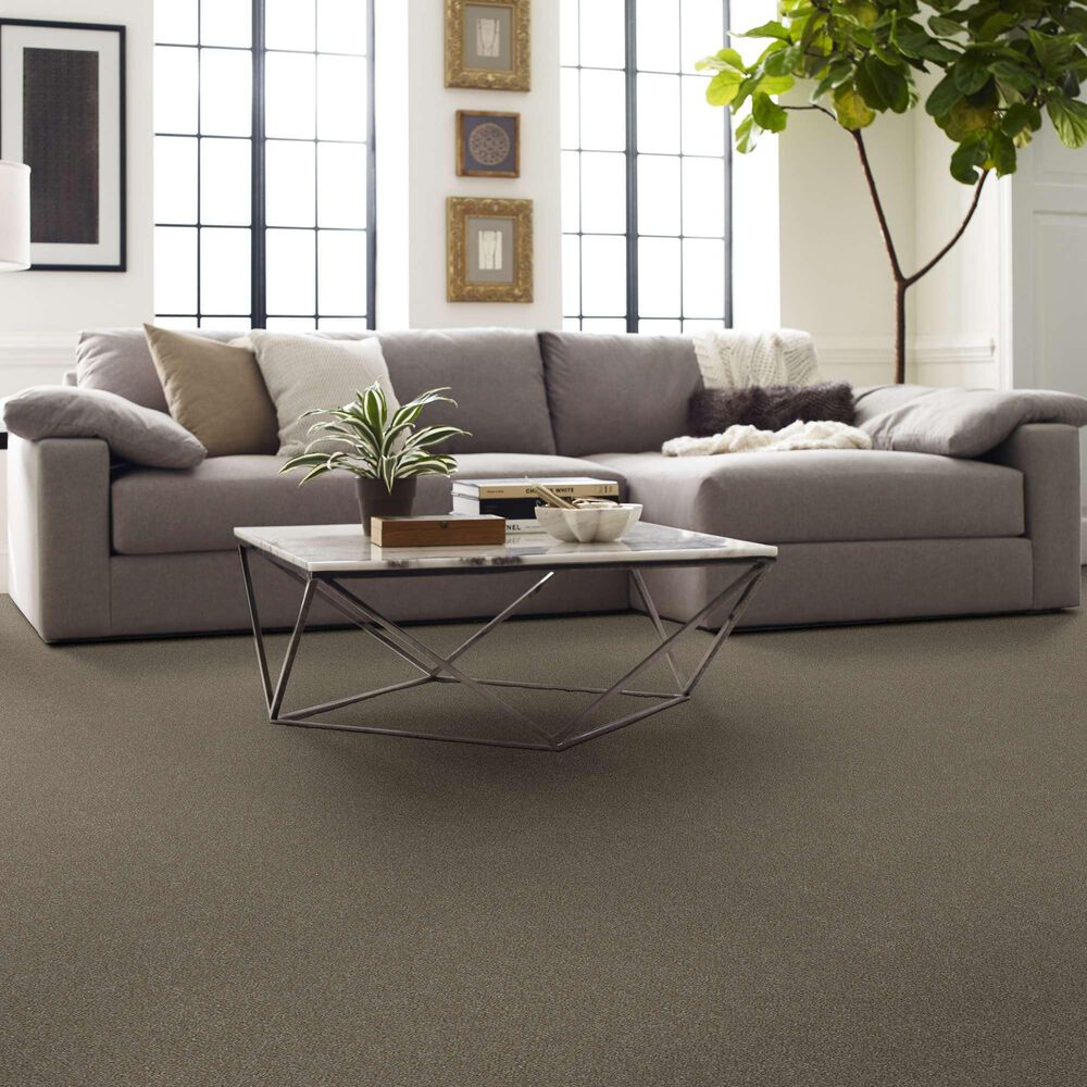 Shaw Without Limits II Carpet in Macadamia, , large
