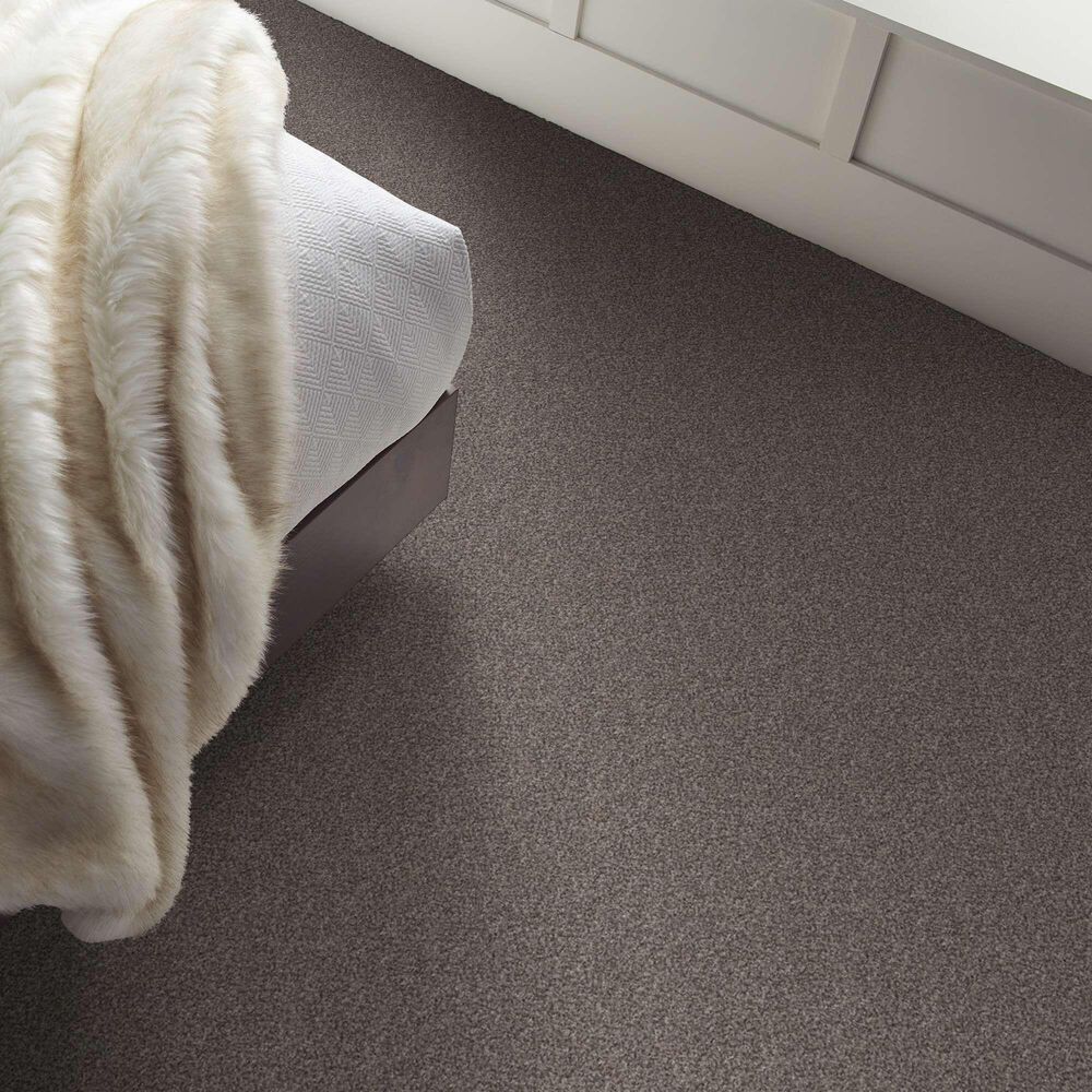 Shaw After It II 5E258 Carpet in Reflection, , large