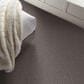 Shaw After It II 5E258 Carpet in Reflection, , large
