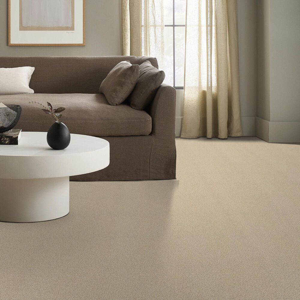 Shaw Tonal Comfort Ii Carpet in Sun Kissed, , large