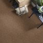 Anderson Tuftex Ario Carpet in Desert Beach, , large