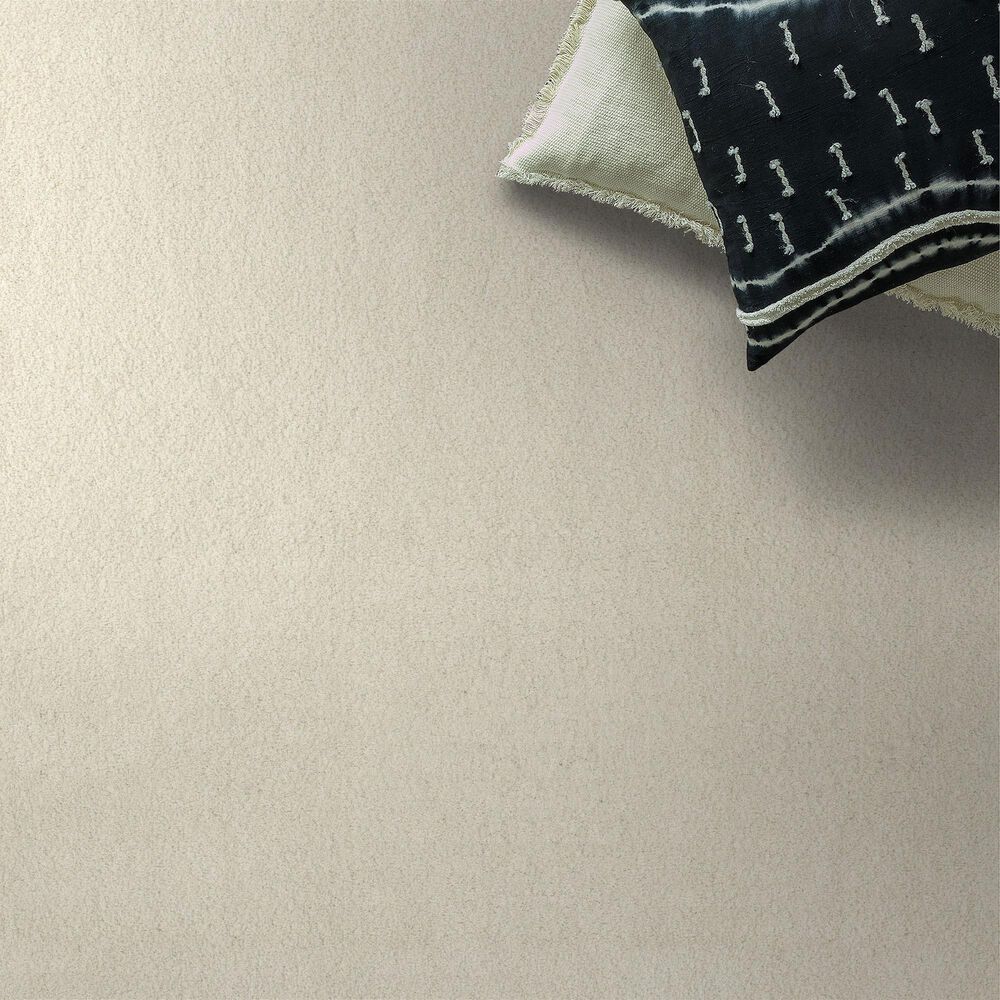 Anderson Tuftex Luxe Feel II Carpet in Icelandic, , large