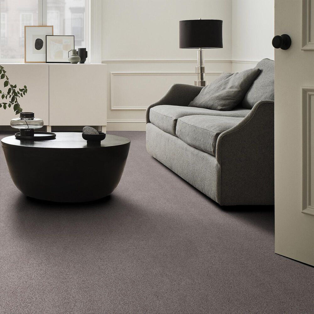 Anderson Tuftex Sumptuous II Carpet in Rustic Gray, , large
