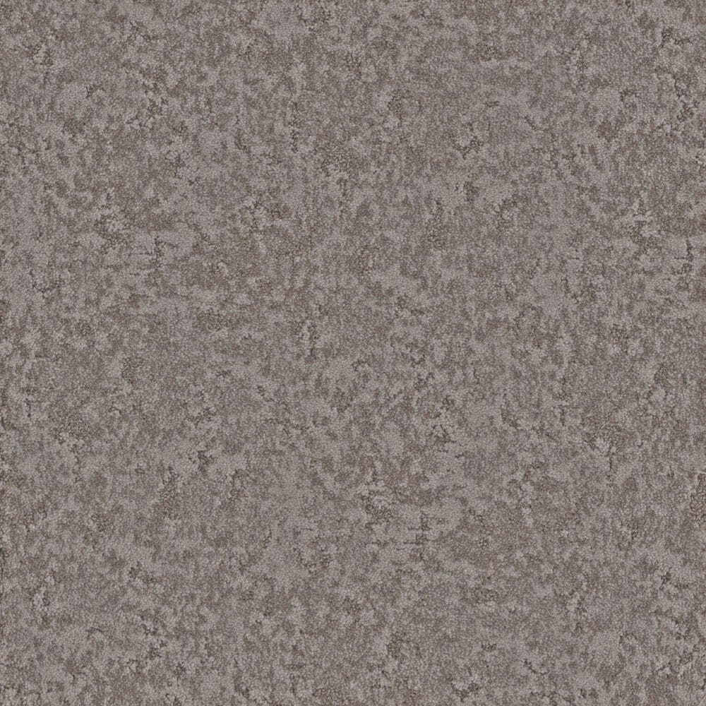 Phenix Aviara Carpet in Lifestyle, , large