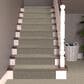 Dixie Home Tributary Carpet in Lost Canyon, , large