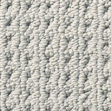 Anderson Tuftex San Lucas Carpet in Silverplate, , large