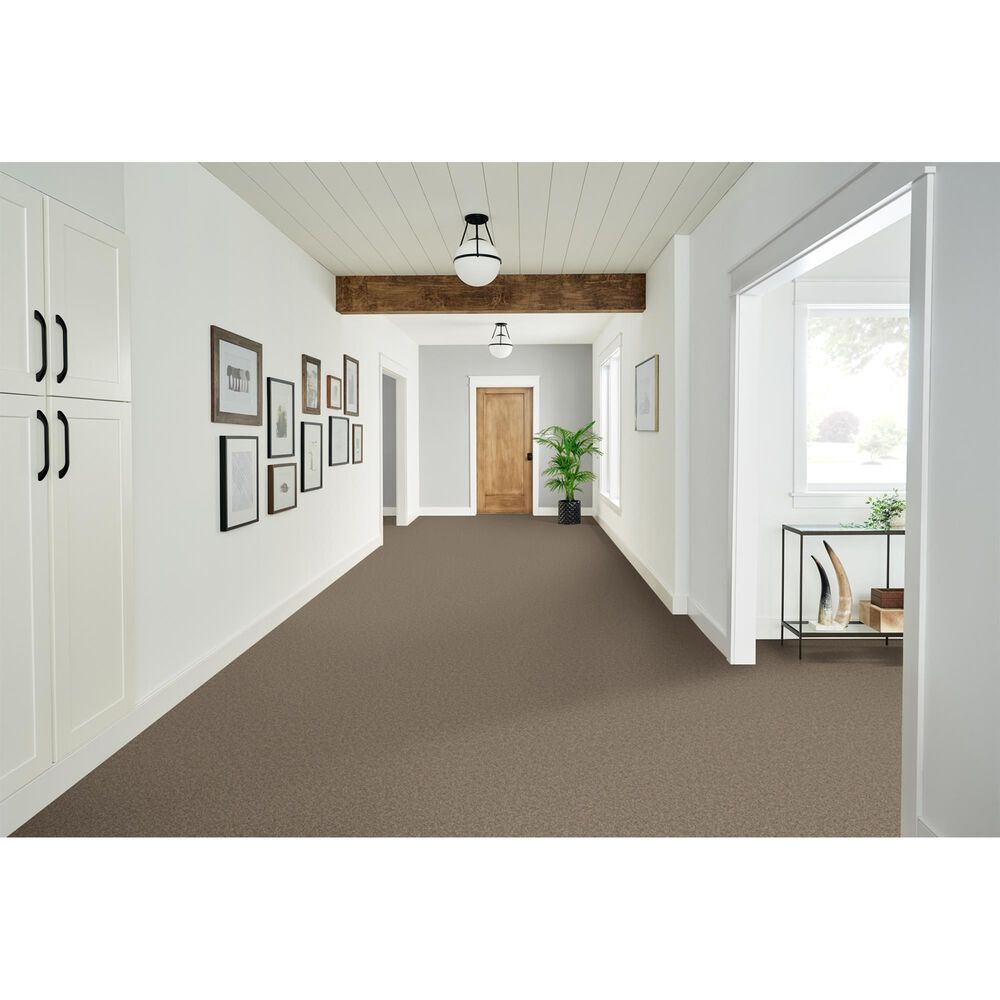 Phenix Catania Carpet in Amphitheater, , large