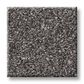 Shaw Yes You Can II Carpet in Shadow, , large