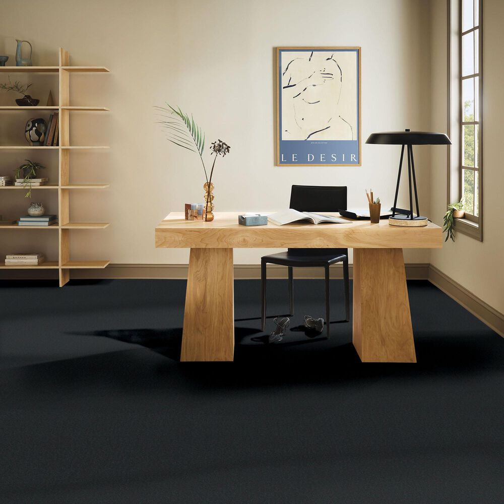 Anderson Tuftex Finery Carpet in Onyx, , large