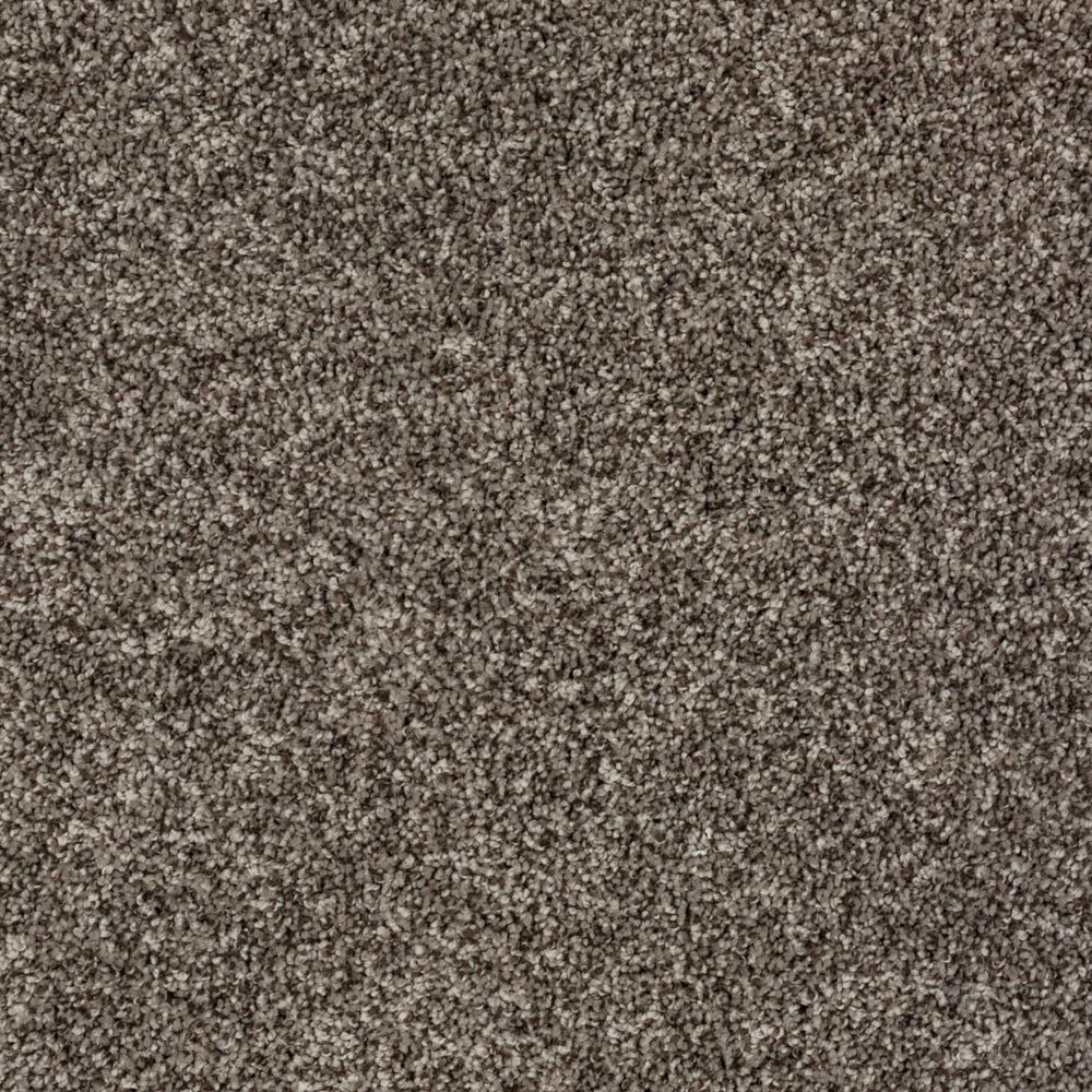 Mohawk Soft Direction III Carpet in Folklore, , large