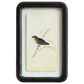 Creative Coop Heirloom 7" x 11" Wall Decor with Floating Bird Art in Multicolor (Set of 6), , large