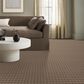 Anderson Tuftex Imagination Carpet in Bungalow, , large