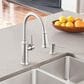 Blanco Empressa Pull-Down Kitchen Faucet 1.5 GPM in PVD Steel, , large