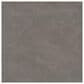 Dal-Tile Exposition Cameo 24" x 24" Porcelain Tile, , large