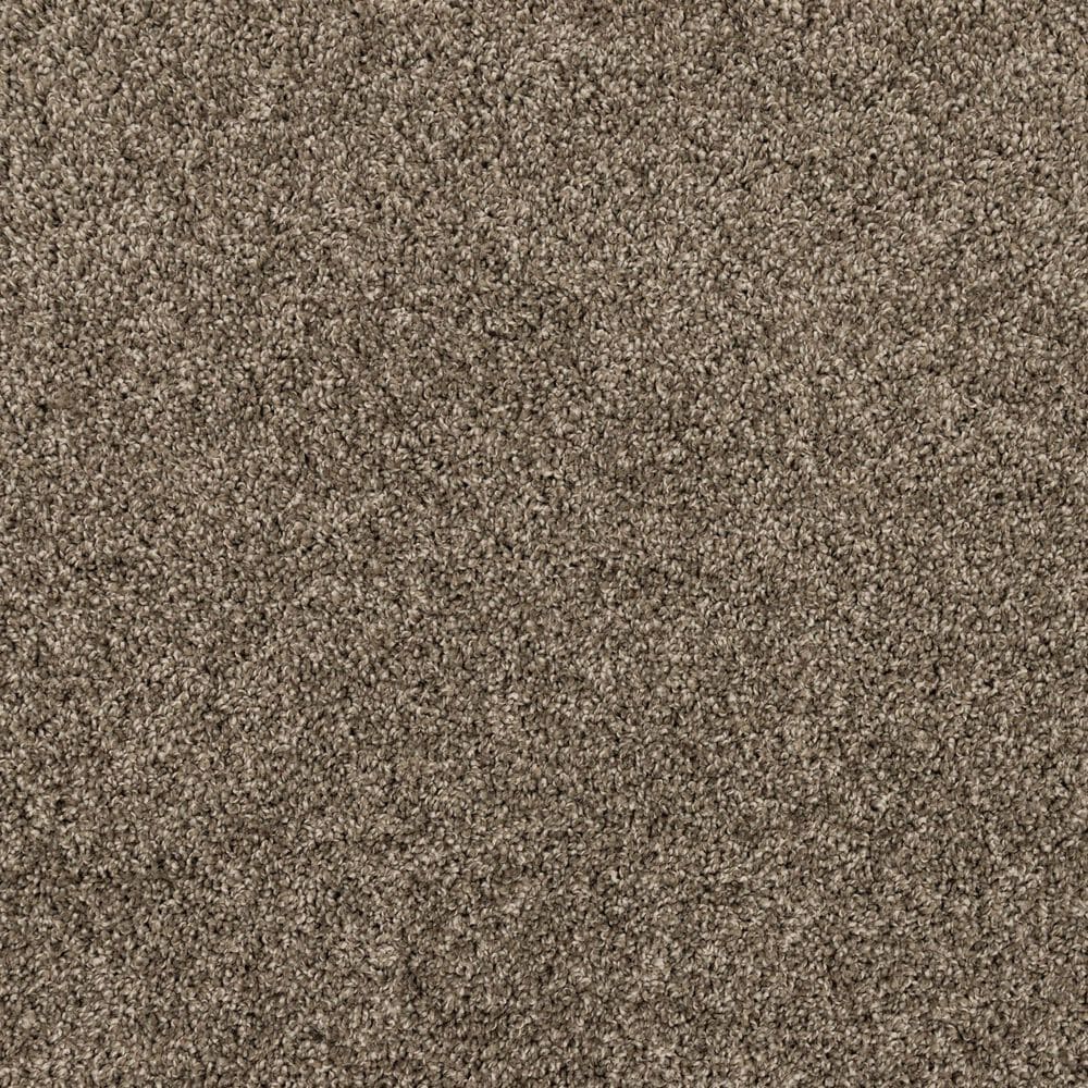 Mohawk Refined Retrievers II Carpet in Matte, , large